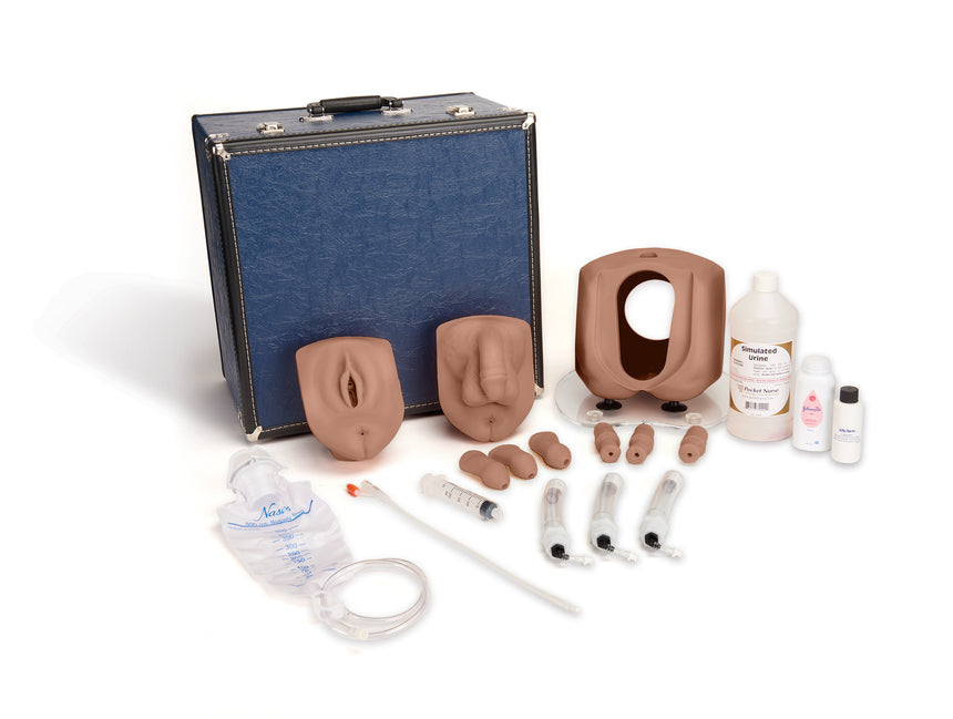 Male/Female Catheterization Simulator - Medium Skin Tone