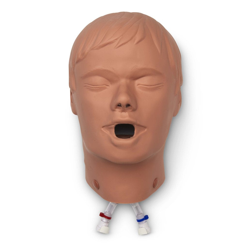 CPR HEAD (ALS/BLS)