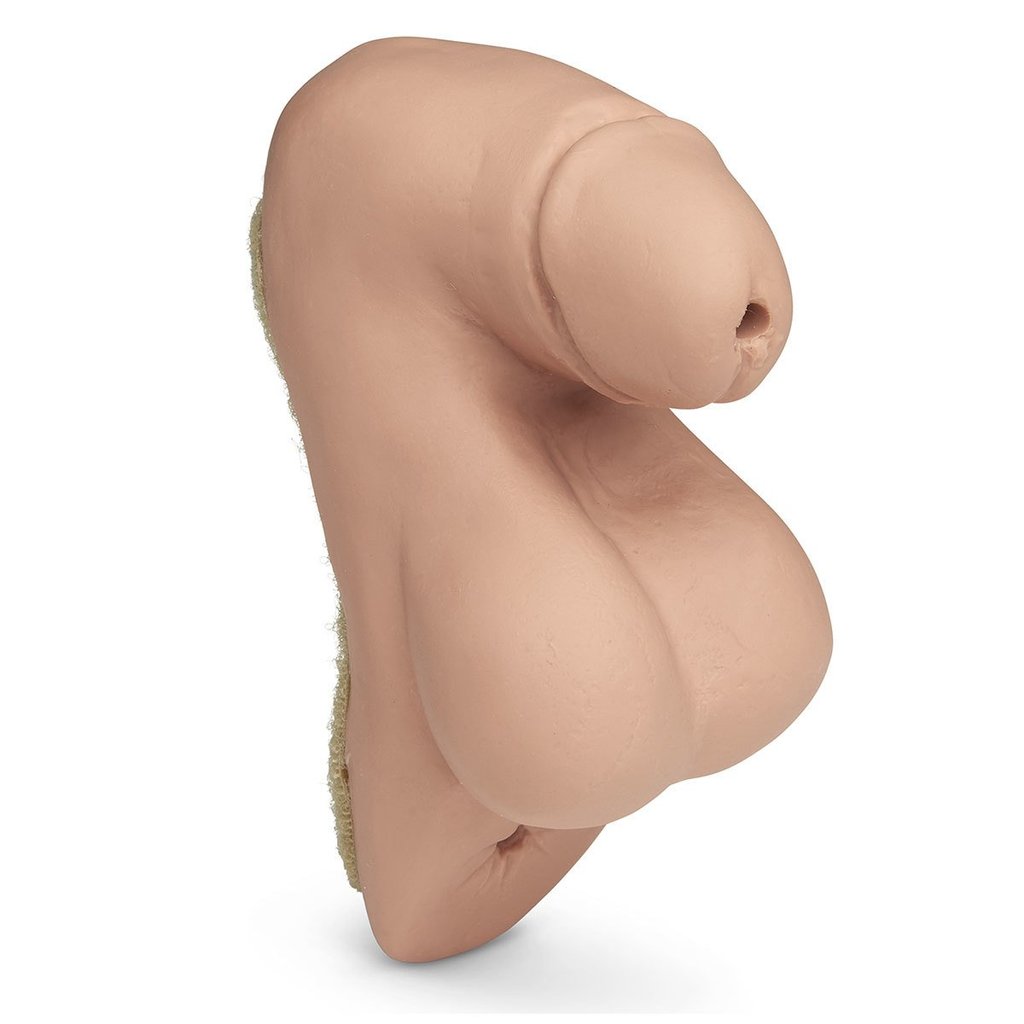 Male Genitalia For Patient Care Manikin