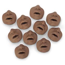 David/L.David/Paul Faces(10Pk)