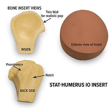 Stat Humerus Io Insert Trainer