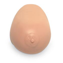 Breast Self Exam Model