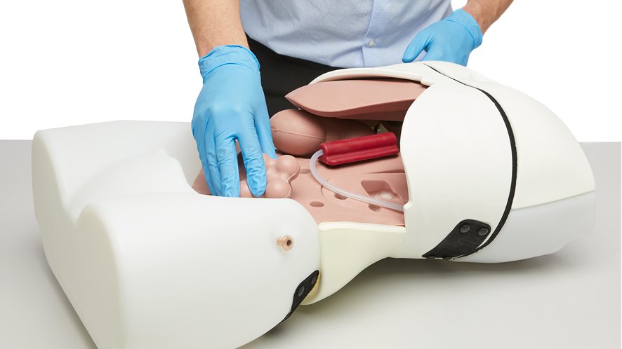 Abdominal Examination Trainer (New)