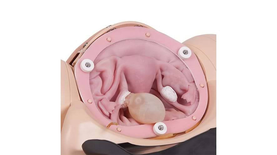 SFPT Surgical Uterus